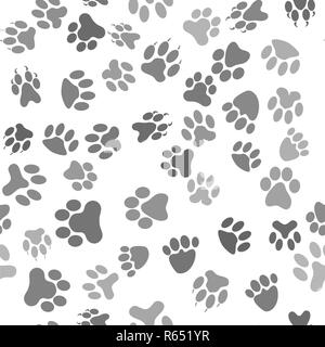 Animal Chat transparente Motif patte Banque D'Images