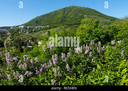 Vue sur le majestueux mont Mashuk de Pyatigorsk Banque D'Images
