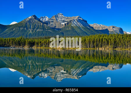 La gamme Bow reflète dans Herbert Lake , le parc national Banff, Alberta, Canada Banque D'Images