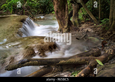 Chutes d'eau à l'Tat Kuang près de Luang Prabang au Laos. Banque D'Images