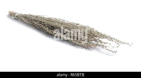 Herbes médicinales séchées matières premières isolé sur blanc. Artemisia absinthium ou l'absinthe, absinthe, absinthe, grande absinthe Banque D'Images