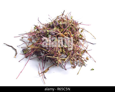 Herbes médicinales séchées matières premières isolé sur blanc. Thymus. Banque D'Images