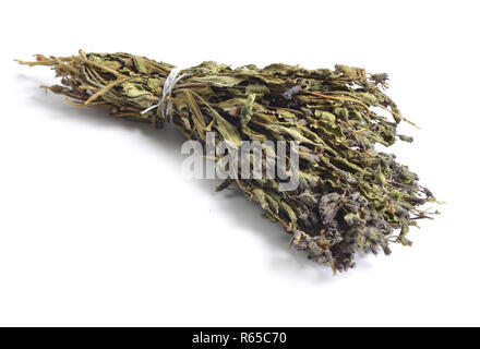 Herbes médicinales séchées matières premières isolé sur blanc. Pulmonaria (herbe) Banque D'Images