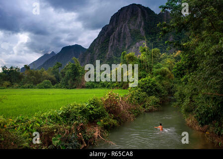 Terrasses de riz plantation près de Vang Vieng, Laos Banque D'Images