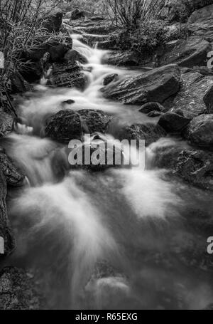 Un noir et blanc portrait Scène de rivière avec de grands rochers et végétation luxuriante, dans le centre du Vietnam. Banque D'Images