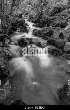 Un noir et blanc portrait Scène de rivière avec de grands rochers et végétation luxuriante, dans le centre du Vietnam. Banque D'Images