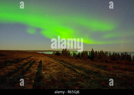 Aurore boréale au-dessus du lac Ennadai, Arctique Haven Lodge, le territoire du Nunavut, Canada Banque D'Images