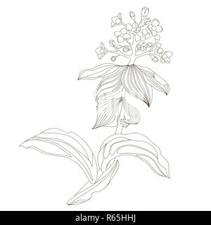 Floral design, illustration vectorielle Illustration de Vecteur