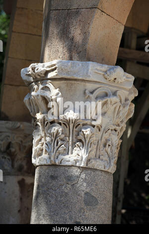 Le Centre de l'arbre Plan d'Hippocrate à Kos. Grèce Banque D'Images