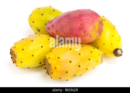 Fin rouge figuier de barbarie ou opuntia jaune isolé sur fond blanc Banque D'Images