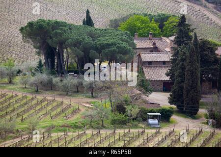 Paysage typique Tuscanian - une vue d'une villa sur une colline, allée de cyprès et une vallée de vignes à province de Sienne. La toscane, italie Banque D'Images