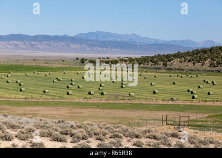 L'Agriculture des États-Unis le long de la route 50 est une route de Transcontinental aux États-Unis, s'étendant de West Sacramento, Californie, à l'ouest, à l'Ocean Banque D'Images