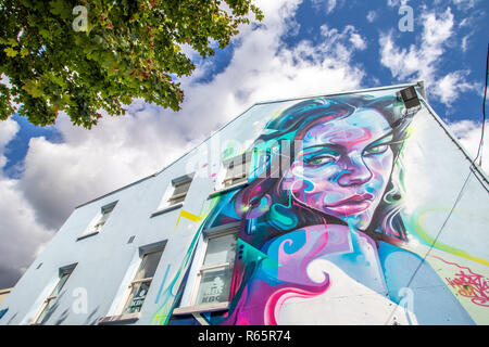 Droit de la ville de Waterford murale dans le comté de Waterford en Irlande Banque D'Images