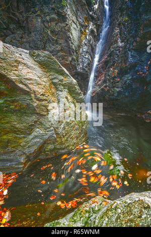 De belles cascades, roches moussues voile, la rotation de feuilles en couleurs mate Banque D'Images