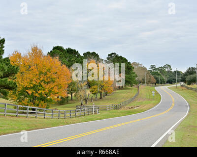 Route de campagne sinueuse calme ou avec une voie ferroviaire de split clôture et arbres en changeant de couleur à l'automne dans la région de South Alabama, USA. Banque D'Images