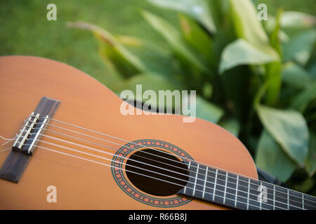 Une guitare Banque D'Images