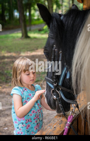 Cute little girl de caresser la tête d'un cheval noir Banque D'Images