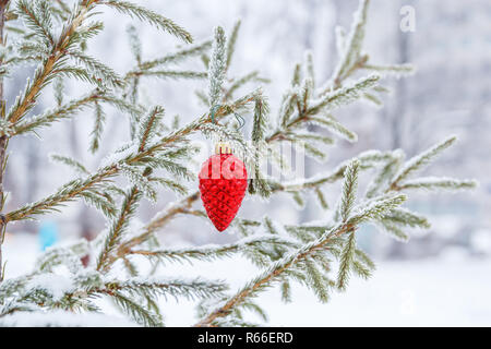 Branche d'un arbre de Noël avec un cône rouge Banque D'Images