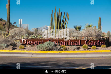 Jardin botanique du désert, Phoenix, Arizona, USA Banque D'Images