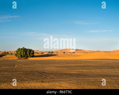 Erg Chubby - désert marocain Banque D'Images