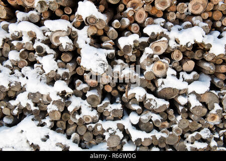 Pile de bois recouvert de neige Banque D'Images