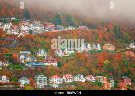 Maisons à flanc de colline à Bergen en automne Banque D'Images