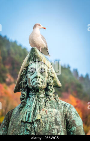 Seagull assis sur la statue du Baron Ludvig Holberg Banque D'Images