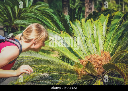 Jardin botanique de tourisme en Chine Banque D'Images