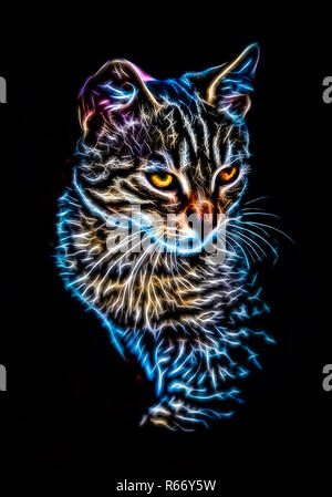 Portrait chat rougeoyant Banque D'Images