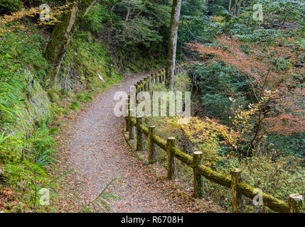 Sentier de randonnée au parc national de Minoh Minoo ou à l'automne, Osaka, Japon Banque D'Images