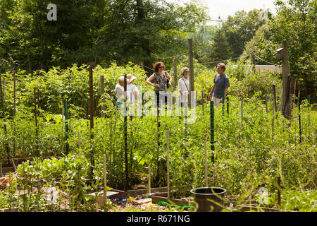 Garden club tour à Williamstown dans le Massachusetts. Banque D'Images