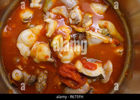 Le poulpe à la tomate comme un ragoût dans une casserole Banque D'Images