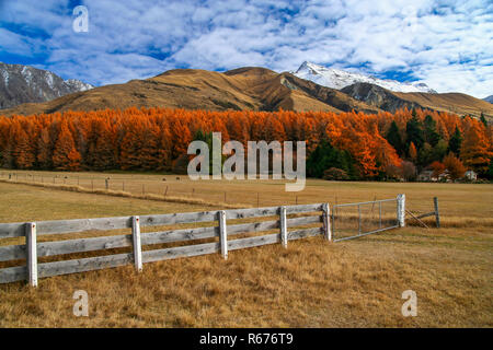 Paysages de montagne Rural Banque D'Images