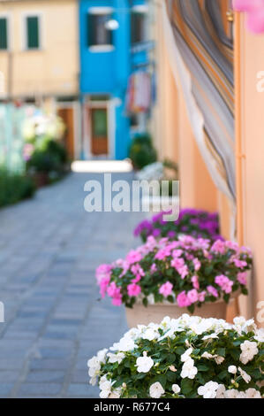 Les pots de fleurs le long du chemin Banque D'Images