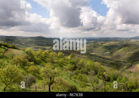 Le Collio hills en Slovénie au printemps Banque D'Images