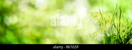 Abstract green bokeh background Banque D'Images