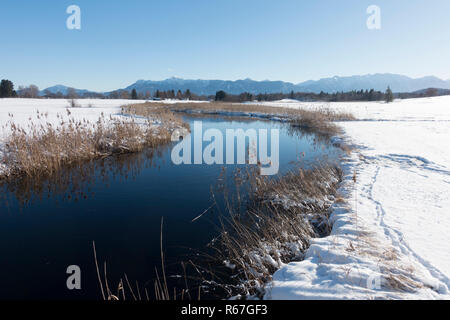 Murnauer Moos en hiver avec une vue sur les alpes Banque D'Images