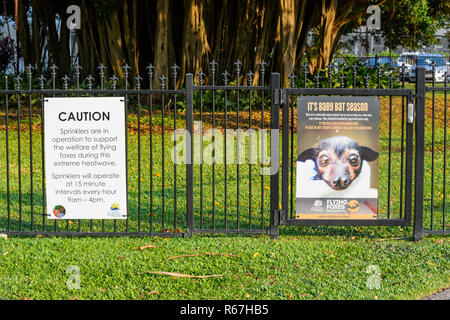 Panneau d'avertissement de santé relatives à un ours à lunettes flying fox ou fruits à lunettes colonie de chauves-souris, Cairns, Queensland, Queensland, Australie Banque D'Images