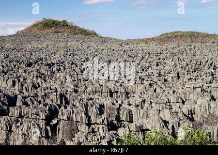 Parc National Tsingy Banque D'Images