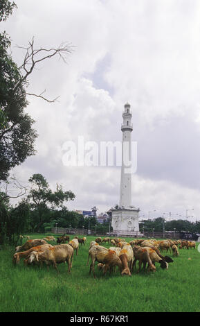 Shaheed Minar, calcutta kolkata, West Bengal, India Banque D'Images