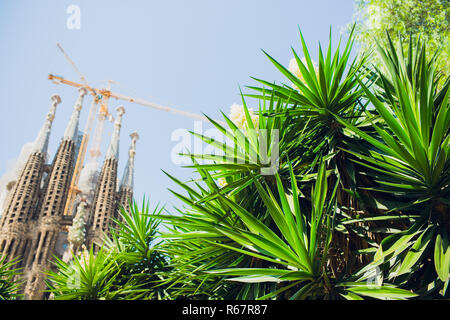 Barcelone, Espagne - 12 juillet 2018 : Temple Expiatori de la Sagrada Familia de la Sagrada Famalia à Barcelone, Espagne. Conçu par Antoni Gaudi, UNESCO World Heritage Site. Banque D'Images