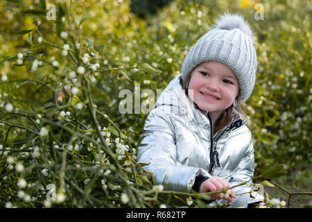 Tenbury Wells, England, UK. 4e, Décembre 2018,. Sur la photo, Chanel Bassett (6) dans au milieu des buissons de gui pour la vente. Le gui et le houx annuel ventes aux enchères ont eu lieu depuis plus de 160 ans dans la région de Tenbury Wells. Les ventes aux enchères ont lieu à Burford Hall Gardens et attirer les acheteurs de tout le Royaume-Uni. Crédit : David Warren/Alamy Live News Banque D'Images