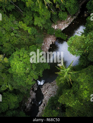 Voir au-dessus d'une jungle à l'Australie. Banque D'Images