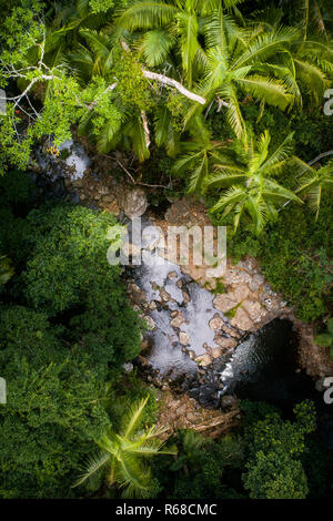 Voir au-dessus d'une jungle à l'Australie. Banque D'Images