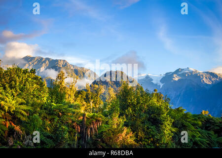 Franz Josef Glacier et la forêt tropicale, Nouvelle-Zélande Banque D'Images