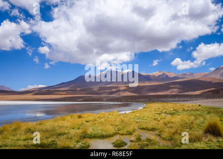 Dans l'Altiplano sud Lipez laguna reserva, Bolivie Banque D'Images