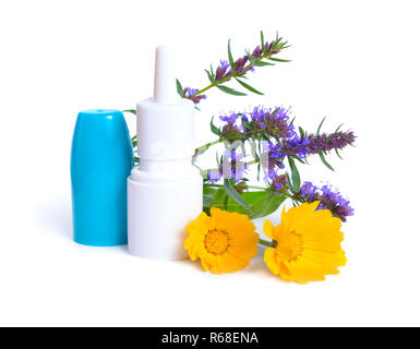 Les plantes médicinales et de l'hysope Calendula avec nez poivré. Isolé sur blanc. Banque D'Images