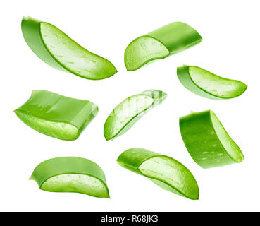 L'Aloe Vera isolé sur fond blanc Banque D'Images
