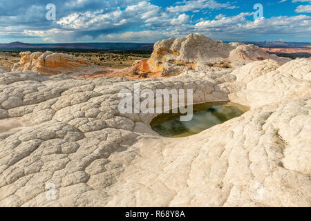 Falaises de grès blanc, poche, Vermillion Cliffs National Monument, Arizona, Plateau Paria Banque D'Images