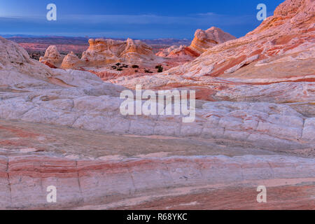 Crépuscule, falaises de grès blanc, poche, Vermillion Cliffs National Monument, Arizona, Plateau Paria Banque D'Images